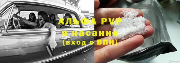 сатива Алзамай